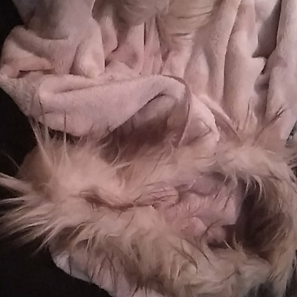 Cashmere snuggie